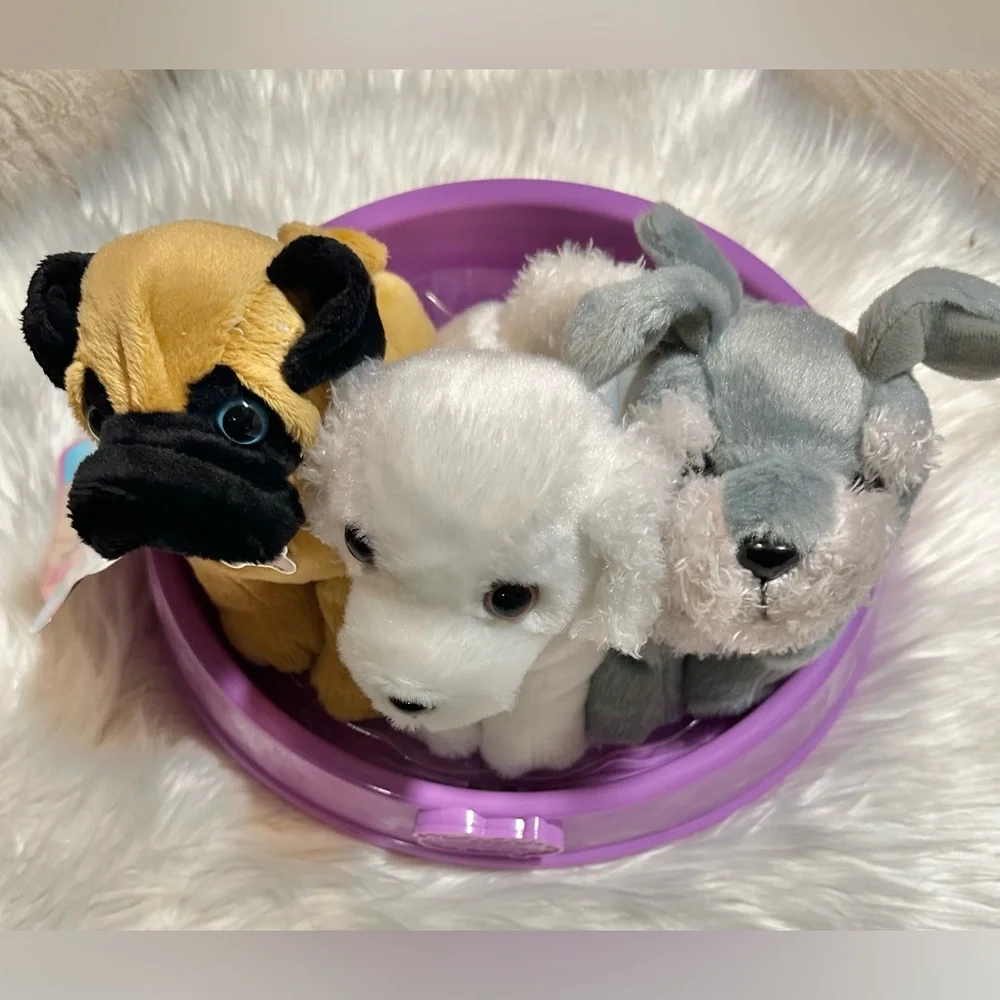 Pucci Pups - Picture 6 of 6